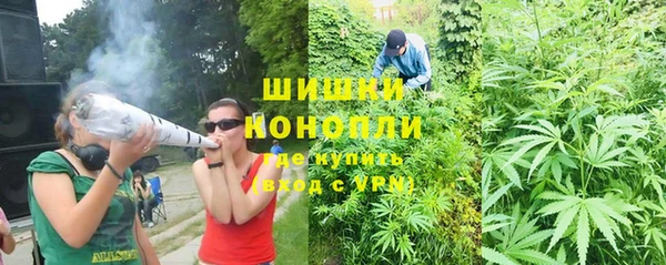 прущие грибы Бронницы