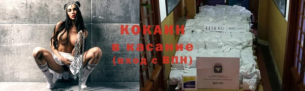 прущие грибы Бронницы