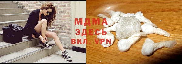 прущие грибы Бронницы