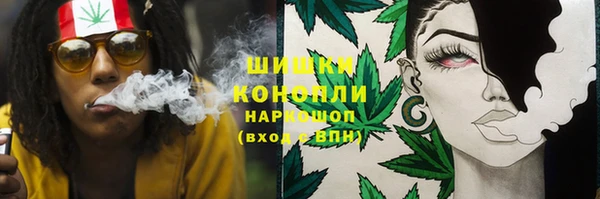 spice Бугульма