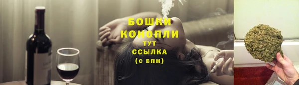 прущие грибы Бронницы