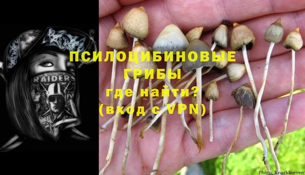 прущие грибы Бронницы