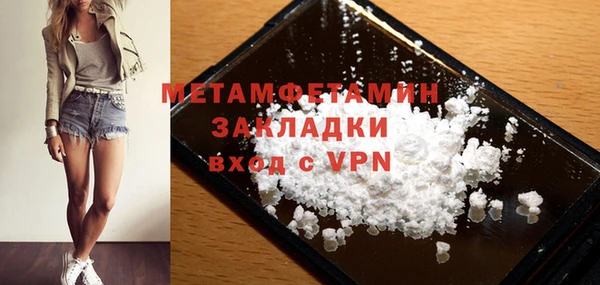 прущие грибы Бронницы