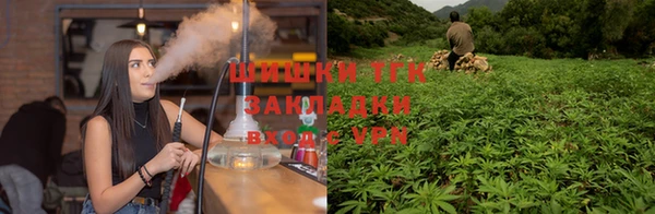 spice Бугульма